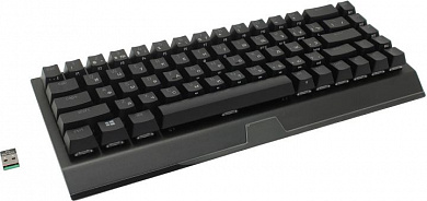 Клавиатура Razer BlackWidow V3 Mini HyperSpeed <USB> <RZ03-03890700-R3R1>