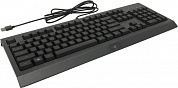 Клавиатура Razer Cynosa Lite <USB> 104КЛ <RZ03-02741500-R3R1>