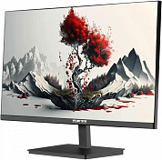 F08В3120V2A1 Монитор RDW Computers 23.8" RDW2401K черный IPS 5ms 16:9 HDMI M/M матовая HAS Piv 1000:1 350cd 178гр/178гр