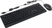 Philips SPT6247B/60 (Кл-ра, USB + Мышь USB, 3кн, Roll)