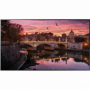 LH75QBCEBGCXCI Панель Samsung 75" QB75C черный VA LED 8ms 16:9 HDMI M/M матовая 350cd 178гр/178гр 3840x1920 4K USB 38.3