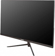 24FIU01 IRBIS  24 23.8'' LED Monitor 1920x1080, 16:9, IPS, 250 cd/m2, 1000:1, 5ms, 178°/178°, USB-C(65W), HDMI, USB 2.0