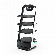 Pudu Robotics PuduBot PD9 Anti-sunlight model <PD-BT-02>