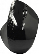 SmartBuy EZ Work Pro Wireless Optical Mouse <SBM-309AG-K> (RTL) USB  3btn+Roll, беспроводная