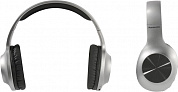 Наушники с микрофоном Panasonic RB-HX220B <Silver> (Bluetooth5.0, с регулятором громкости)