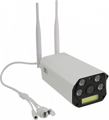 Ritmix <IPC-270S> Wi-Fi Camera (LAN, 1920x1080, 802.11n, microSDXC, мик., LED)