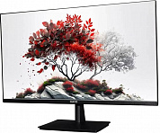 F00В0100V2A1 Монитор RDW Computers 27" RDW2701K черный IPS 5ms 16:9 HDMI 1000:1 300cd 178гр/178гр 1920x1080 100Hz VGA D