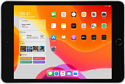 Apple iPad mini Wi-Fi Cellular 256GB <MUXC2RU/A> Space Gray A12/256Gb/WiFi/BT/4G/GPS/iOS/7.9"Retina/0.308 кг