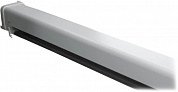 Экран с электроприводом Lumien Master Control <LMC-100109> 120"NTSC MW 183 x 244cm (116", 4:3)