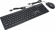 Philips SPT6264B/60 (Кл-ра, USB + Мышь USB, 3кн, Roll)