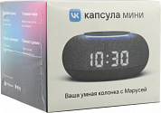 VK Капсула Мини <MRC02BK Dark grey> (5W, WiFi, Bluetooth, голосовой помощник Маруся)