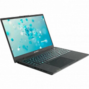 Ноутбук Aquarius CMP NS616 Core i5 1155G7 16Gb SSD512Gb 16" IPS FHD noOS WiFi BT Cam (NS6161525116S151SCN2TNNNN2)