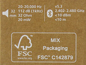 Наушники с микрофоном PHILIPS TAH4209WT/00 (Bluetooth 5.3)