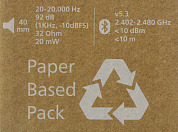 Наушники с микрофоном PHILIPS TAH5209WT/00 (Bluetooth 5.3)