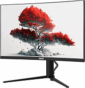 Монитор RDW Computers 27" RDW2706C (Q03В375V2A1) черный VA 5ms 16:9 HDMI M/M матовая HAS Piv 4000:1 300cd 178гр/178гр 2