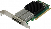 Mellanox <MCX556A-ECAT>