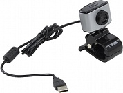CANYON <CNE-CWC2 Silver>  Web Camera  (USB2.0, микрофон)