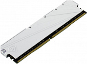 Netac Shadow S <NTSSD4P32SP-16W> DDR4 DIMM 16Gb <PC4-25600> CL16
