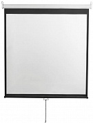 Экран Digis Optimal-D <DSOD-1107> (134", 1:1, 248x249см, Matte White)