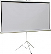 Экран Digis Kontur-D <DSKD-1106> (111", 1:1, 200x200см, Matte White)