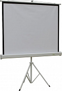 Экран на треноге Cactus Triscreen <CS-PST-127x127> (67", 1:1, 127x127см, Matte White)
