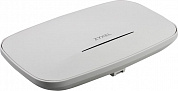 ZYXEL <NWA110BE-WW0101F>