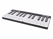 MIDI клавиатура [GPP-101] Gemini [GPP-101 PianoProdigy] 24 клавиши с RGB подсветкой для обучения, Bluetooth, встроенный