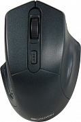 CANYON Wireless Mouse <CNE-CMSW15DB> (RTL) USB  4btn+Roll
