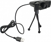 ExeGate BusinessPro C922 HD <EX287378RUS> (USB2.0, 1280x720, микрофон, трипод)