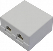 5bites <LY-SB02-A> Розетка внешняя двойная RJ-45 кат.5(e)
