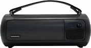 Колонка Nakatomi FS-30 Black (18W, USB, Bluetooth, FM, Li-ion)