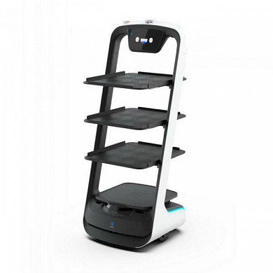 Pudu Robotics PuduBot PD9 Anti-sunlight model <PD-BT-02>