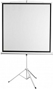 Экран на треноге Digis Kontur-D <DSKD-1103> (83", 1:1, 156x159см, Matte White)