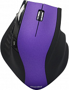 SmartBuy EZ Work Pro Wireless Optical Mouse <SBM-613AG-PK> (RTL) USB 6btn+Roll, беспроводная