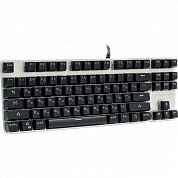 Клавиатура RAPOO <V500ALLOY Black> <USB> 87КЛ <12828>