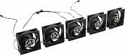 Arctic <ACFAN00301A> P8 Silent (Black) - 5 Pack (3пин, 80x80x25мм, 1600об/мин, уп 5 шт)