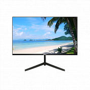 23.8"   ЖК монитор Dahua DHI-LM24-B200 (LCD, 1920x1080, D-Sub, HDMI)
